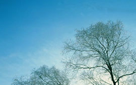 小黑ddos压力测试平台