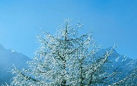 小黑ddos压力测试平台